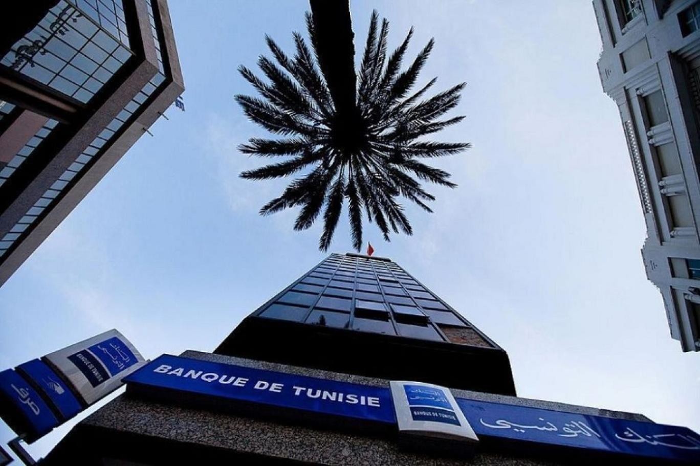 تراجع-المدخرات-يضعف-قدرة-التون