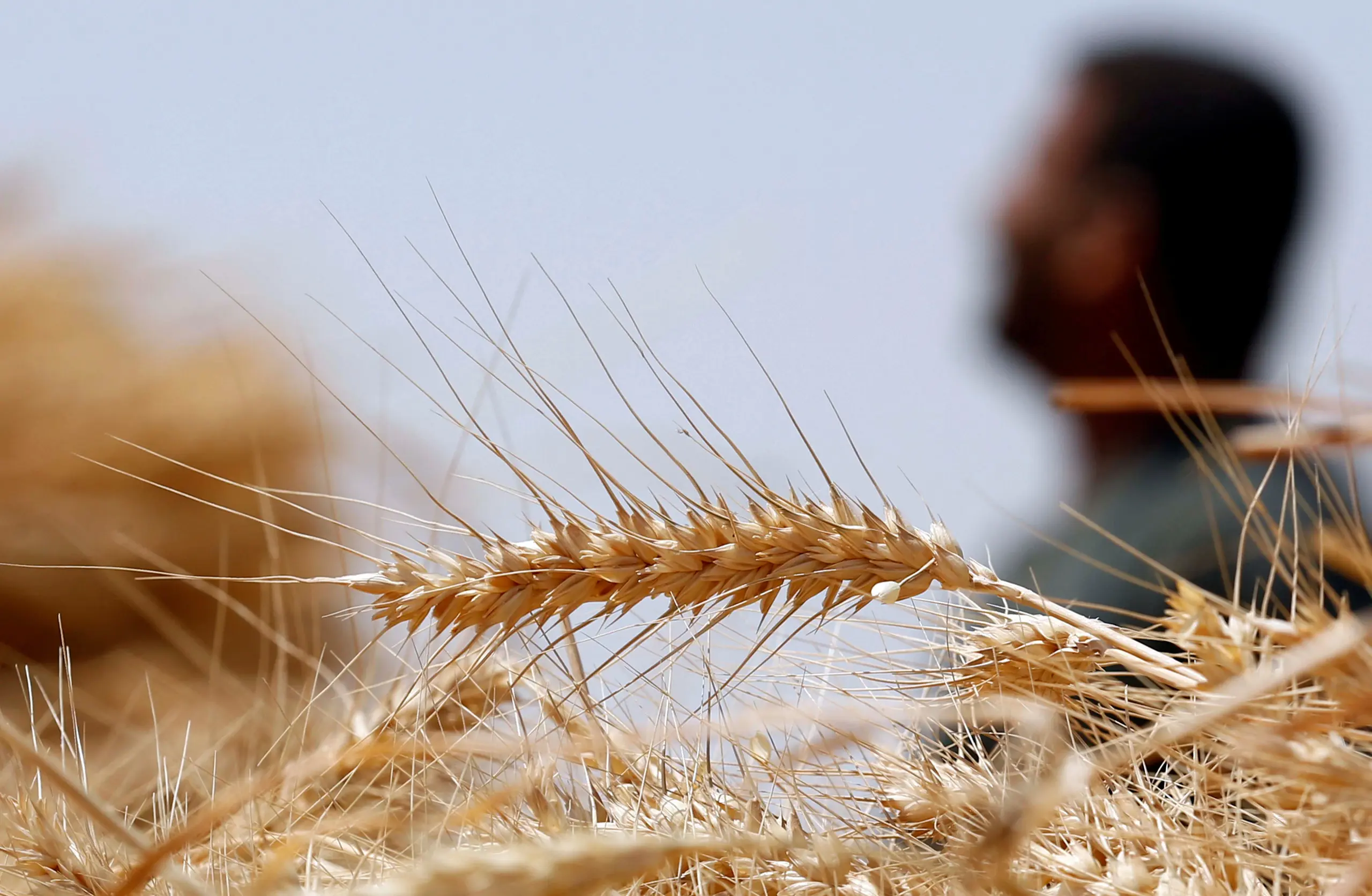 دولة-عربية-تواجه-أسوأ-موجة-جفا